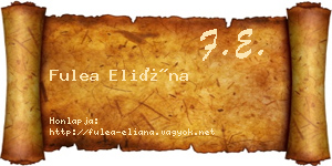 Fulea Eliána névjegykártya